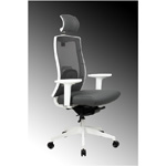 Ergonomik ofis koltuğu