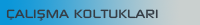 Çalışma Koltukları