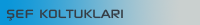 Şef Koltukları