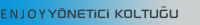 Neva Yönetici Koltuğu